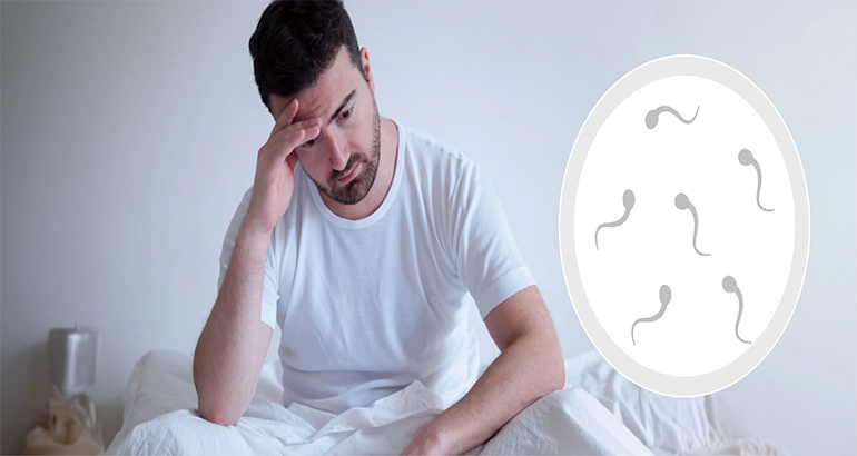Male Fertility